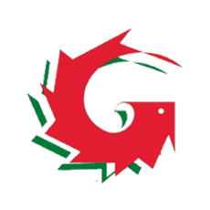 GARINNI