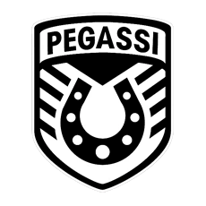 PEGASSI
